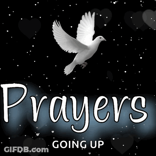 A Picture Of A Dove With The Words Prayers Going Up Underneath It GIF