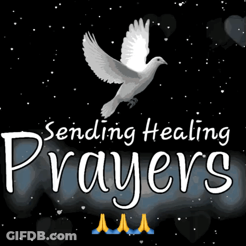 A Picture Of A Dove With The Words Sending Healing Prayers GIF