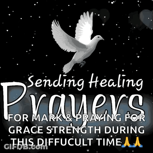 A Picture Of A Dove With The Words Sending Healing Prayers For Mark And Praying For Grace Strength During This Difficult GIF