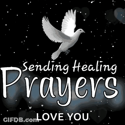 A Picture Of A Dove With The Words " Sending Healing Prayers Love You " GIF