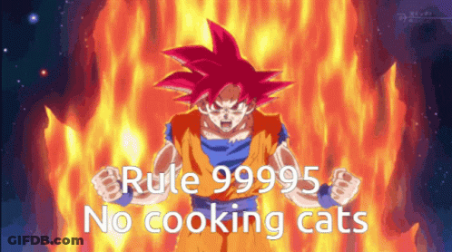 A Picture Of A Dragon Ball Z Character With The Words Rule 99995 No Cooking Cats GIF