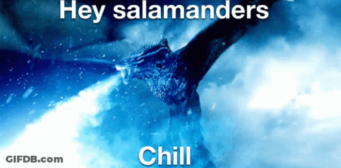 A Picture Of A Dragon With The Words Hey Salamanders Chill On It GIF