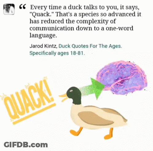 A Picture Of A Duck And A Quote From Jarod Kitz GIF