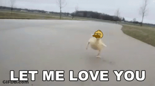 A Picture Of A Duck On A Road With The Words Let Me Love You GIF