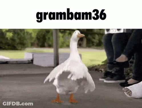 A Picture Of A Duck With The Name Grambam36 On The Top GIF