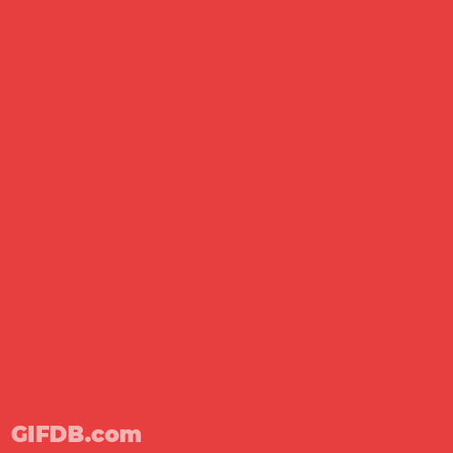 A Picture Of A Duck With The Word Honk Written On It GIF