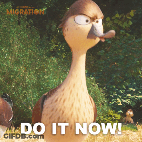 A Picture Of A Duck With The Words Do It Now Written Below It GIF