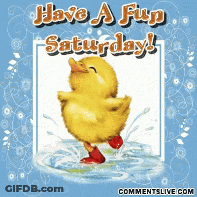 A Picture Of A Duck With The Words Have A Fun Saturday On It GIF