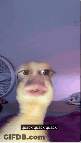 A Picture Of A Duck With The Words Quack Quack Quack On It GIF