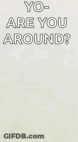 Duck With Yo-Are You Around? Text GIF
