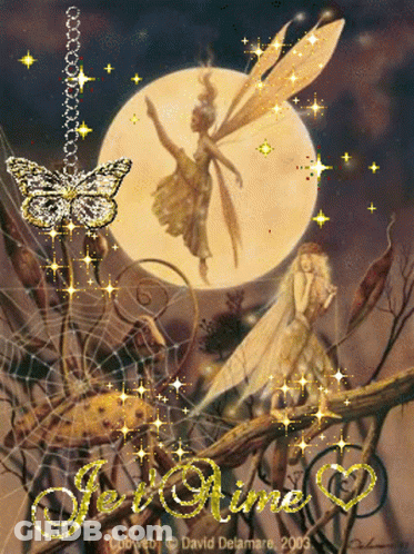 A Picture Of A Fairy With The Words Je T'aime Written On It GIF