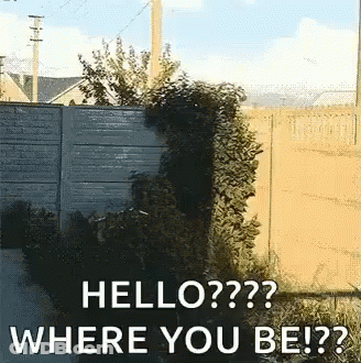A Picture Of A Fence With The Words Hello Where You Be On It GIF