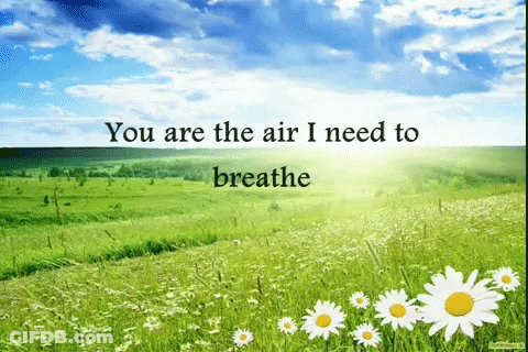 A Picture Of A Field Of Daisies With The Words " You Are The Air I Need To Breathe " GIF