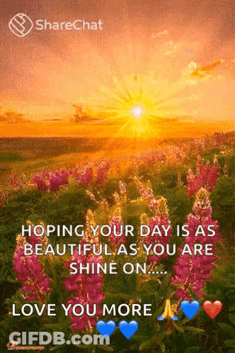 A Picture Of A Field Of Flowers With A Message That Says Hoping Your Day Is As Beautiful As You Are Shine On GIF