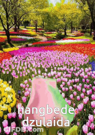 A Picture Of A Field Of Flowers With The Words Hangbede Dzulaida GIF