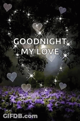 A Picture Of A Field Of Purple Flowers With The Words `` Goodnight My Love '' Written On It . GIF