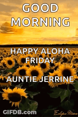 A Picture Of A Field Of Sunflowers With The Words " Good Morning Happy Aloha Friday Auntie Jerrine " GIF