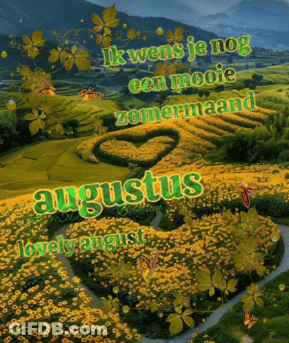 A Picture Of A Field Of Yellow Flowers With The Words Augustus Lovely August On It GIF