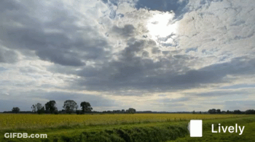 A Picture Of A Field With The Word Lively On The Bottom Right GIF