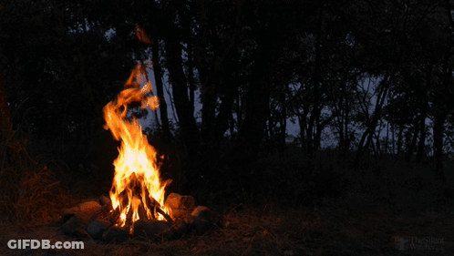 A Picture Of A Fire In The Woods Was Taken By A Person Named The Black GIF