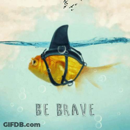 A Picture Of A Fish With A Shark Fin And The Words Be Brave GIF
