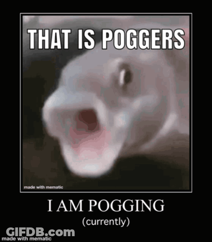 A Picture Of A Fish With Its Mouth Open And The Caption That Is Poggers I Am Pogging Currently GIF
