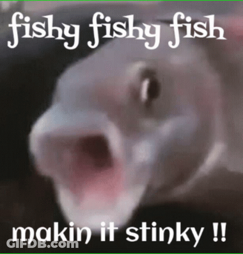 A Picture Of A Fish With Its Mouth Open And The Words Fishy Fishy Fish Makin It Stinky GIF