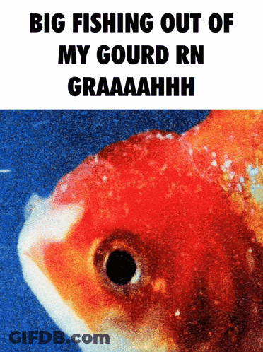 A Picture Of A Fish With The Caption Big Fishing Out Of My Gourd Rn Graaaahhh GIF