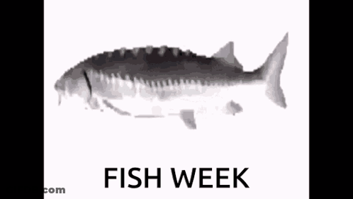 A Picture Of A Fish With The Words Fish Week Below It GIF