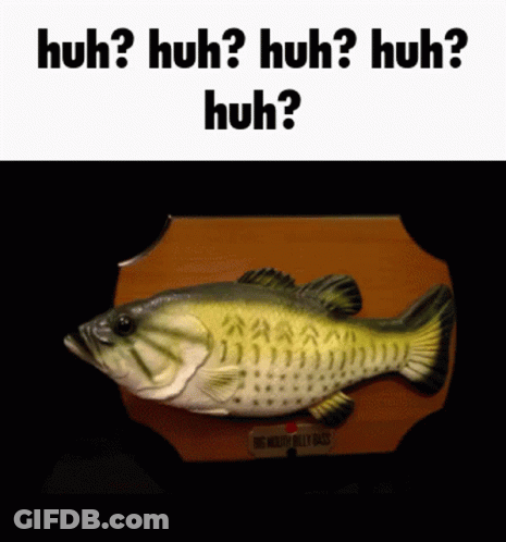 A Picture Of A Fish With The Words Huh Huh Huh Huh On It GIF