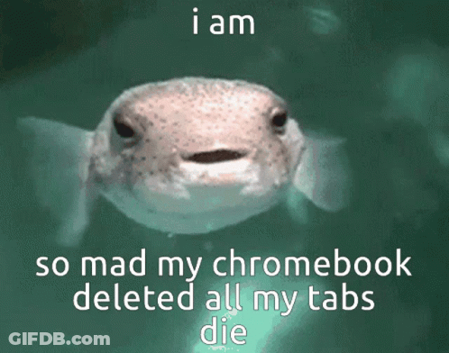 A Picture Of A Fish With The Words I Am So Mad My Chromebook Deleted All My Tabs Die Below It GIF