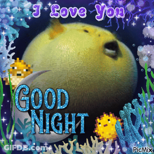 A Picture Of A Fish With The Words " I Love You Good Night " On It GIF