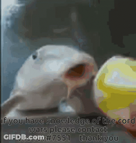 A Picture Of A Fish With The Words " If You Have Knowledge Of The Cord Wars Please Contact The Rev # 7551 Thank You " Be GIF