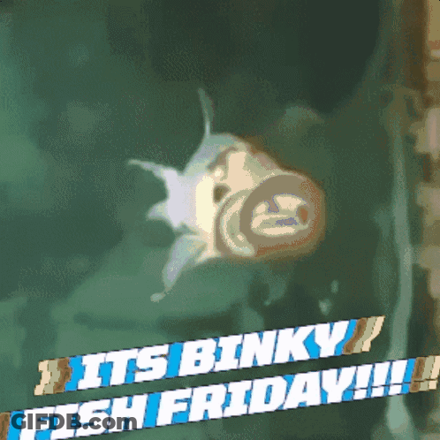 A Picture Of A Fish With The Words It 'S Binky Fish Friday Below It GIF