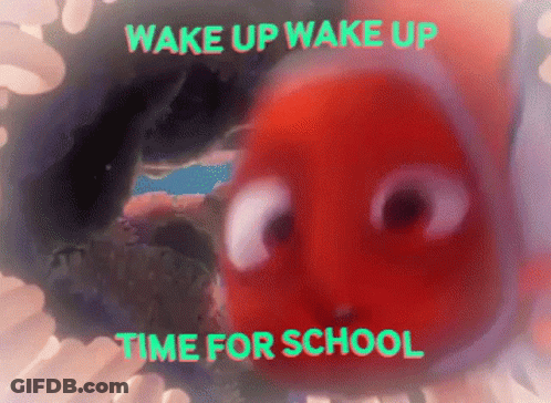 A Picture Of A Fish With The Words Wake Up Wake Up Time For School Below It GIF