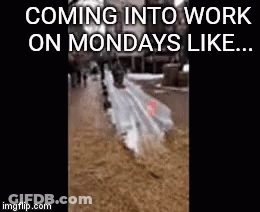 A Picture Of A Flooded Street With The Words Coming Into Work On Mondays Like .. GIF