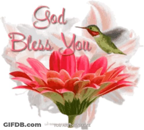 A Picture Of A Flower And A Hummingbird With The Words God Bless You GIF