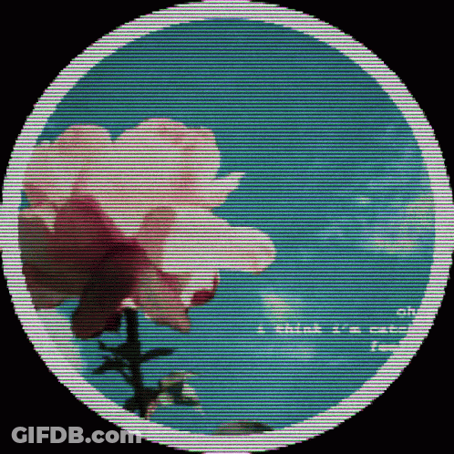 A Picture Of A Flower In A Circle With The Words " I Think I 'M Crazy " Below It GIF