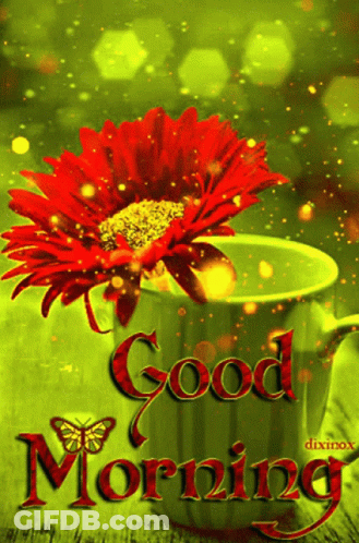 Flower In Cup With Good Morning Text GIF