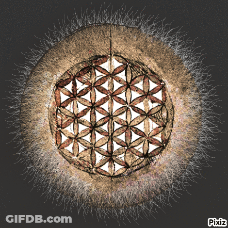 A Picture Of A Flower Of Life With Pixiz On The Bottom Right GIF