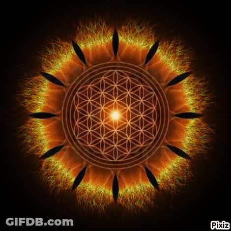 A Picture Of A Flower Of Life With Pixiz Written Below It GIF