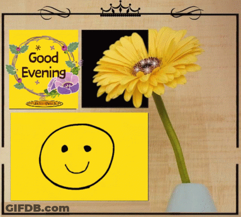 A Picture Of A Flower With A Smiley Face And The Words Good Evening GIF