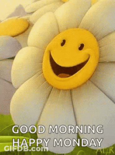 A Picture Of A Flower With A Smiley Face On It . GIF