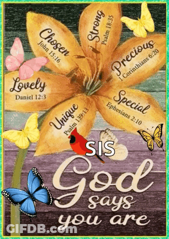 Flower With Butterflies And God Says You Are GIF
