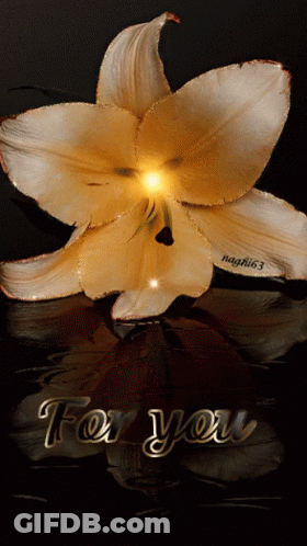 A Picture Of A Flower With The Words " For You " Below It GIF