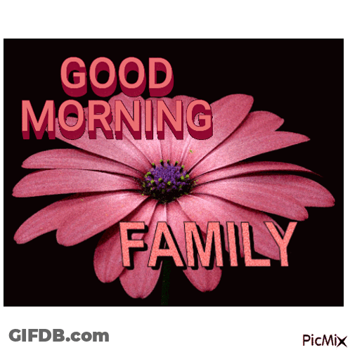 A Picture Of A Flower With The Words Good Morning Family GIF