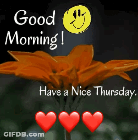 A Picture Of A Flower With The Words Good Morning Have A Nice Thursday . GIF