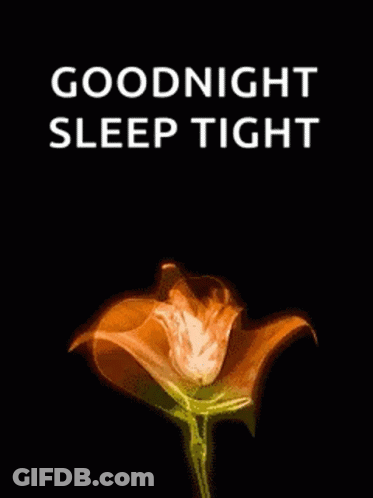 A Picture Of A Flower With The Words `` Goodnight Sleep Tight '' Written Below It . GIF