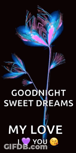 A Picture Of A Flower With The Words Goodnight Sweet Dreams My Love I Heart You GIF