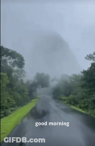 A Picture Of A Foggy Road With The Words Good Morning On The Bottom GIF